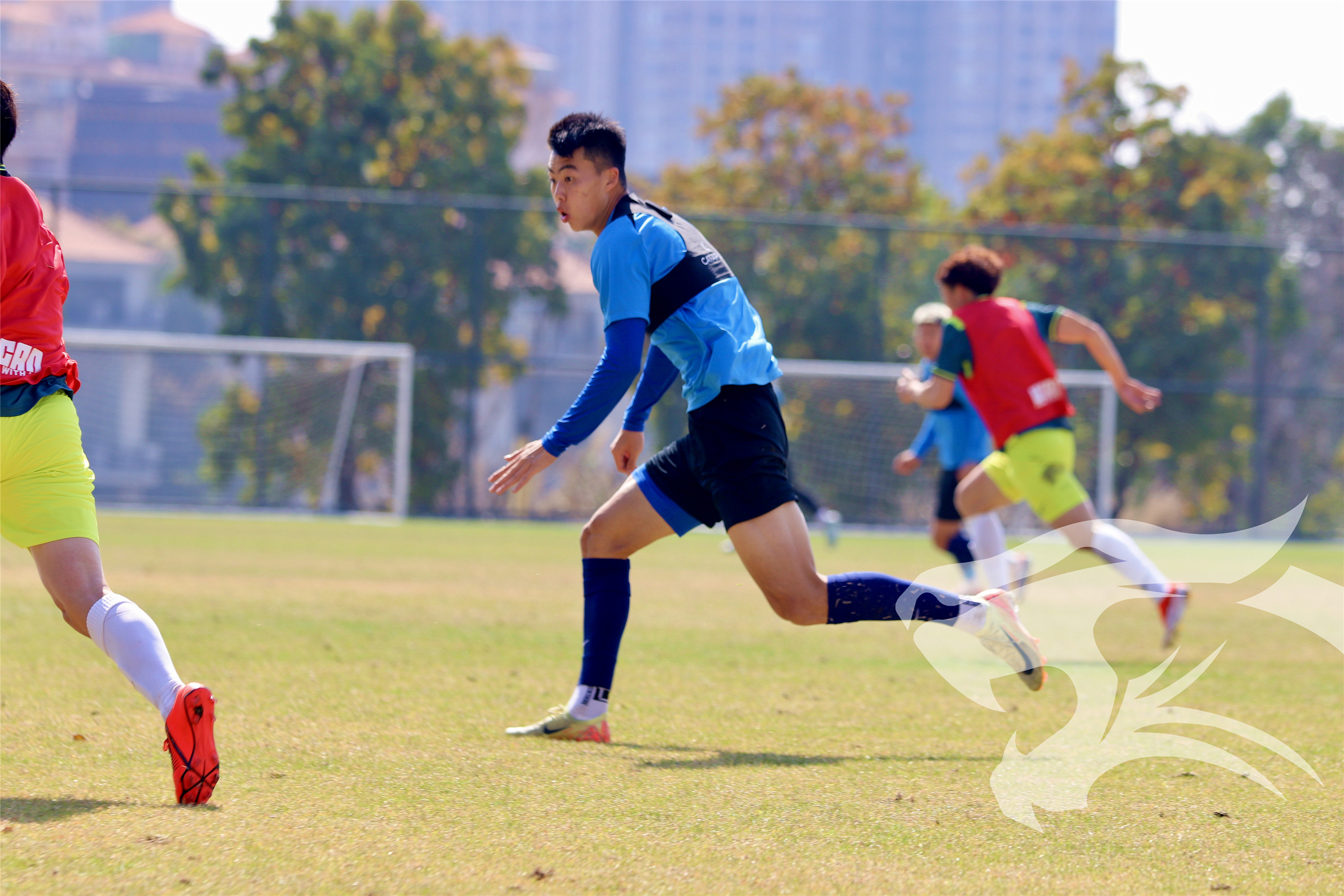 教练策略转变获得成功，球队实力有所提升