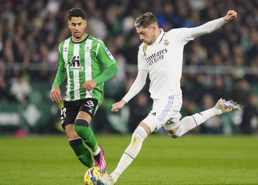 胡尔特军团主场胜出，实力逐渐增强