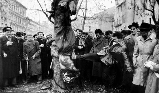 匈牙利国家队屡遭打击，备战艰难