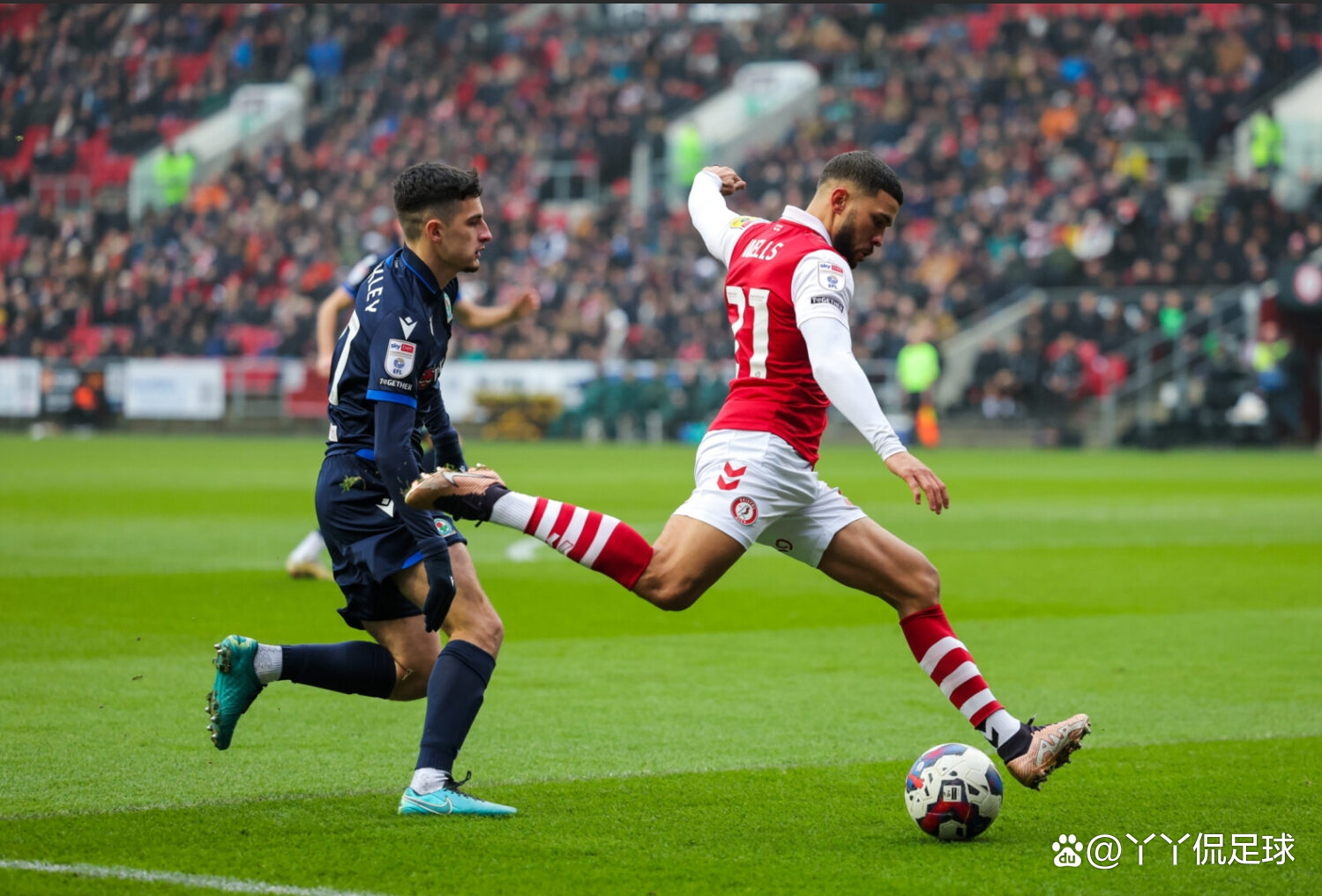 布里斯托城状态飙升，主场胜利让球迷欢欣鼓舞