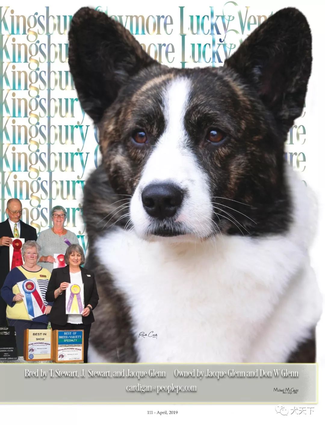 威尔士选手表现亮眼，法国队实力不俗女子越野滑雪预赛