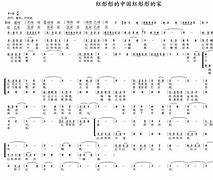支持者红彤彤，篮网紮紮实实胜勝