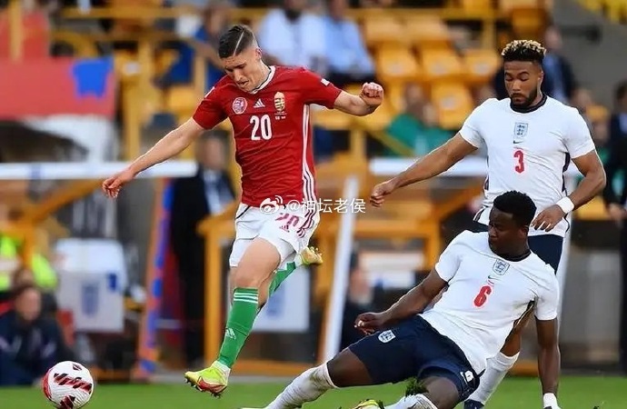 格鲁吉亚队备战备受关注，教练团队信心十足