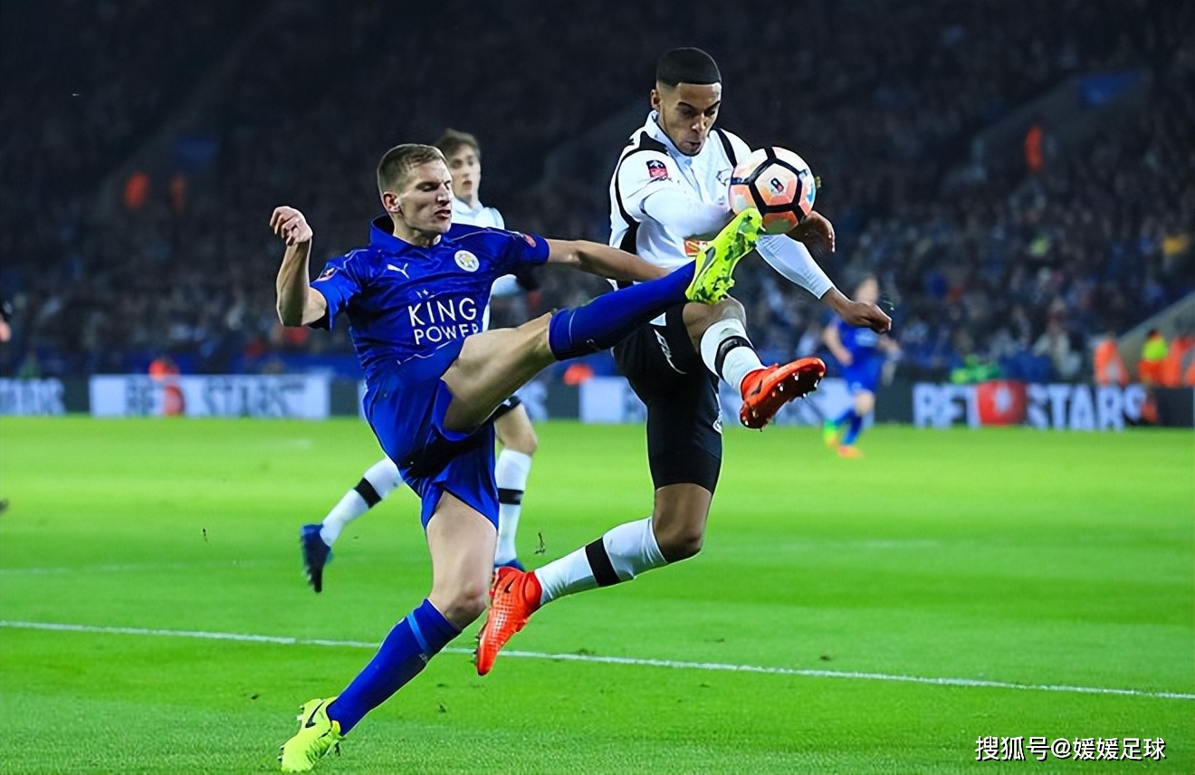 莱切斯特城队在场上取得胜利