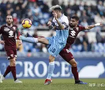 南安普顿主力伤情紧张，斯图雷舍巨大压力