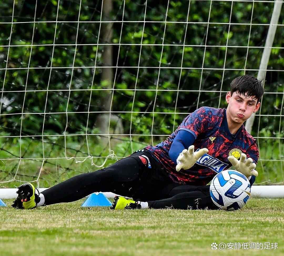 沃尔夫斯堡客场获胜，实力逐渐得到验证