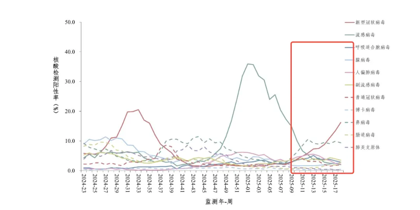 尼斯客场平局，积分榜位置略有上升