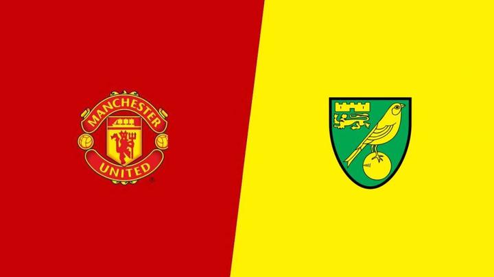 诺里奇城主场制胜,稳定英超排名 诺里奇城主场制胜,稳定英超排名