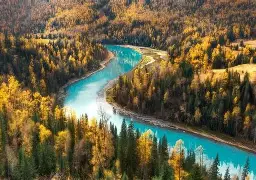 新疆雪豹主场被攀岭幸福逼平，积分上无太大变化