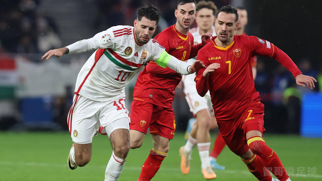 匈牙利队在欧锦赛比赛中展现出色实力 匈牙利队在欧锦赛比赛中展现出色实力