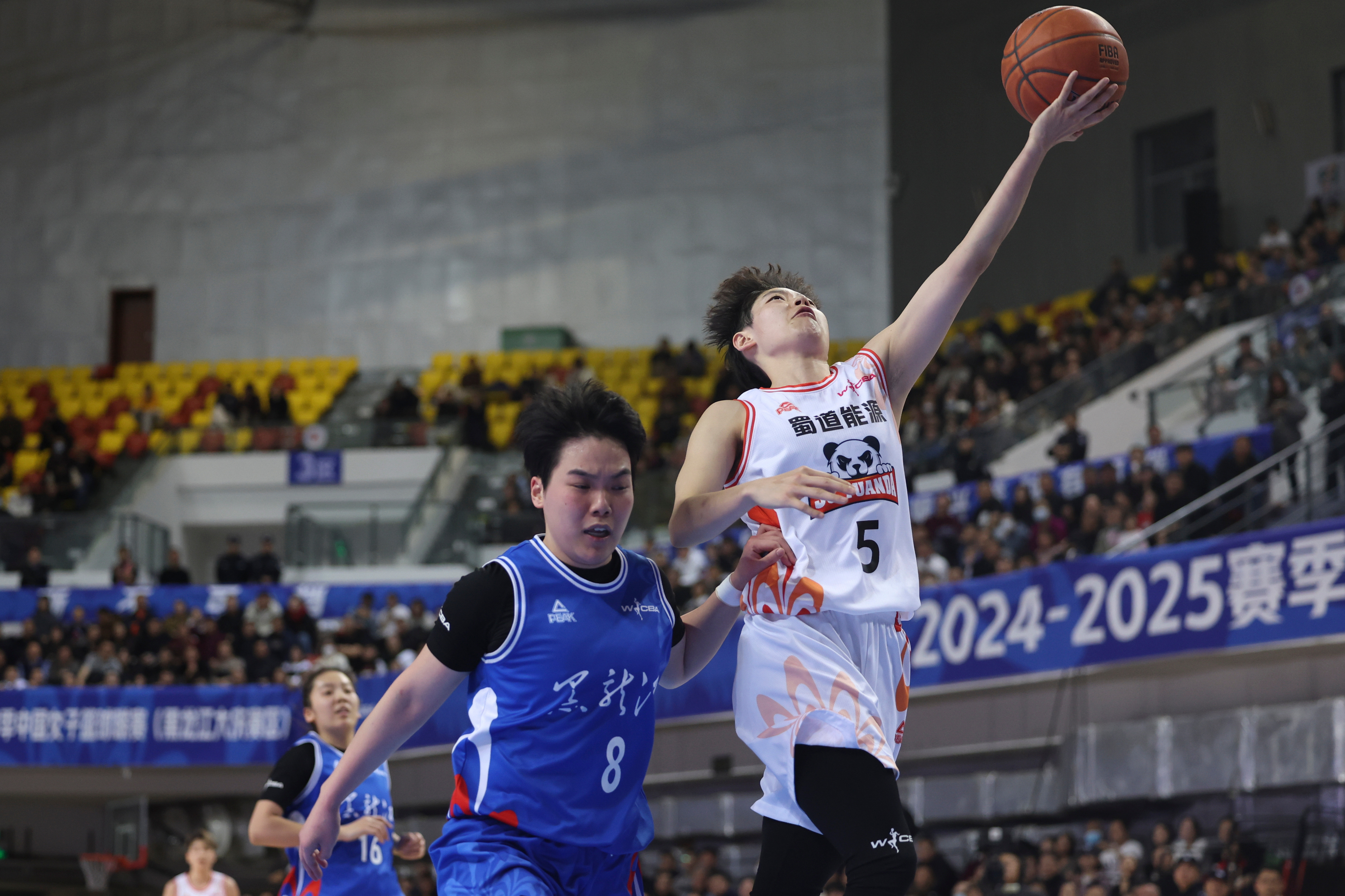 天津男篮主场对阵四川队，决心逆袭取胜