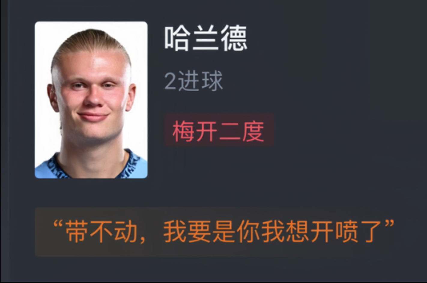 哈兰德梅开二度，多特逆转勒沃库森