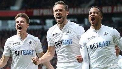 斯旺西城主场不敌，未能战胜彼得堡联队