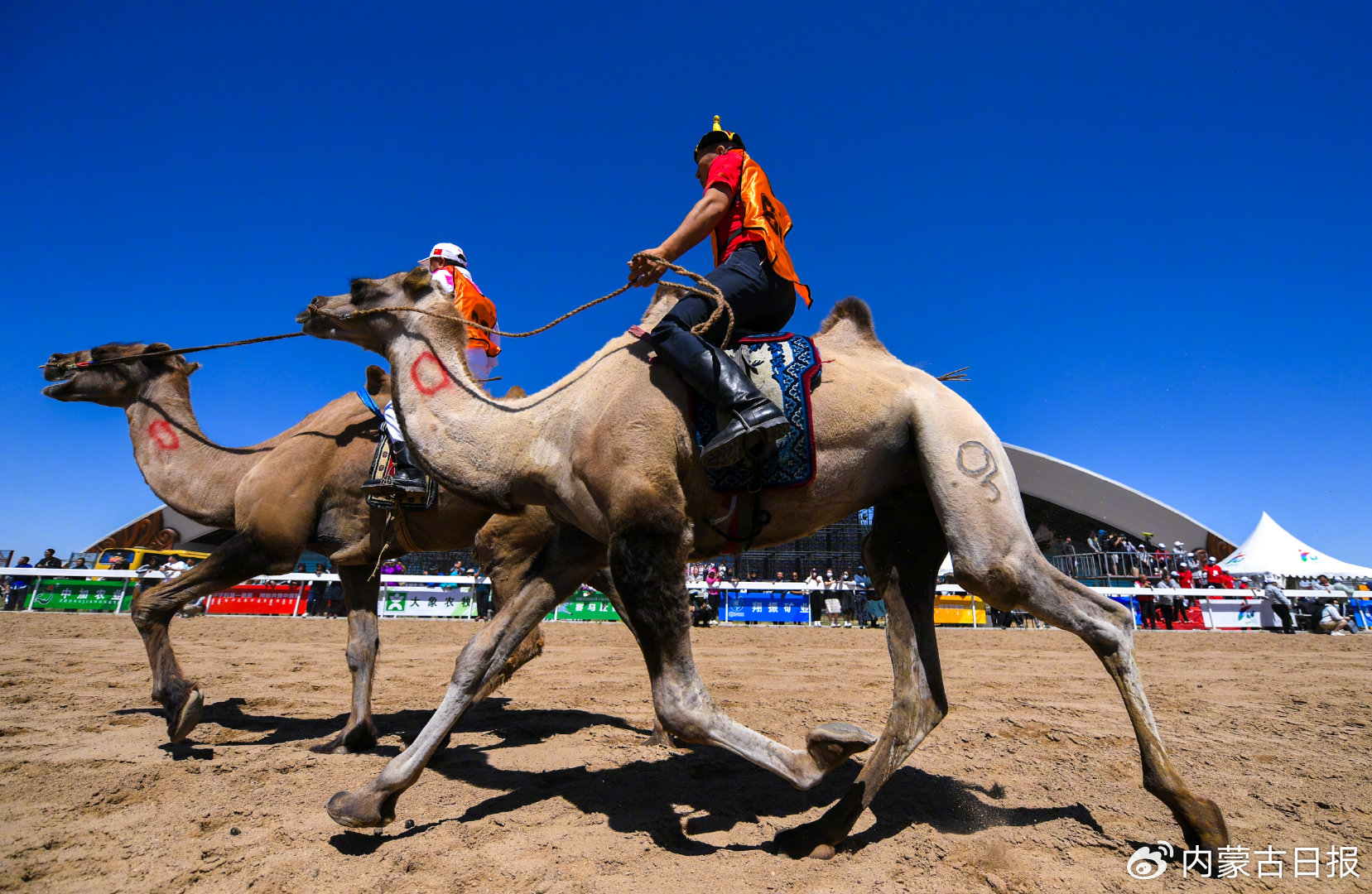 莱索托队面对困境，团结应战